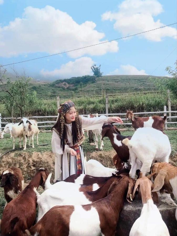 O Chau Homestay 老街市 外观 照片