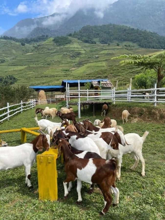 O Chau Homestay 老街市 外观 照片