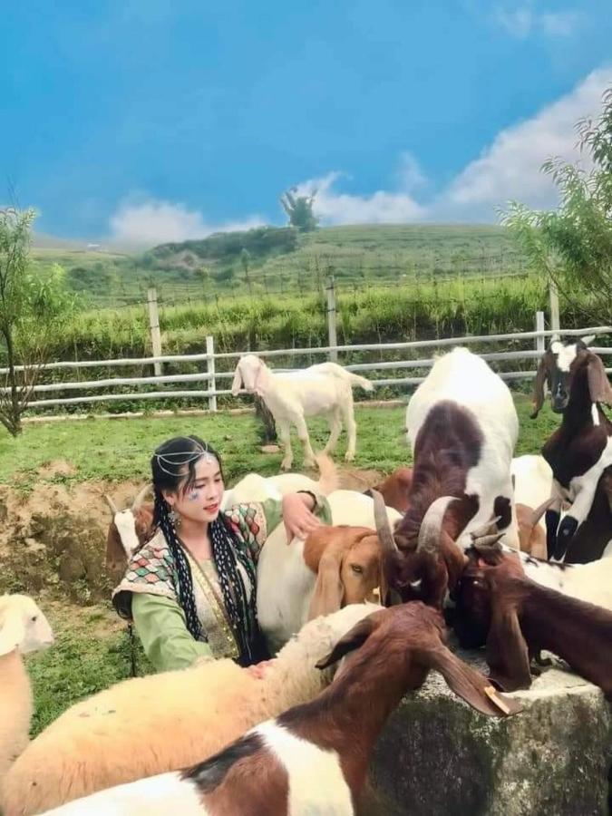 O Chau Homestay 老街市 外观 照片